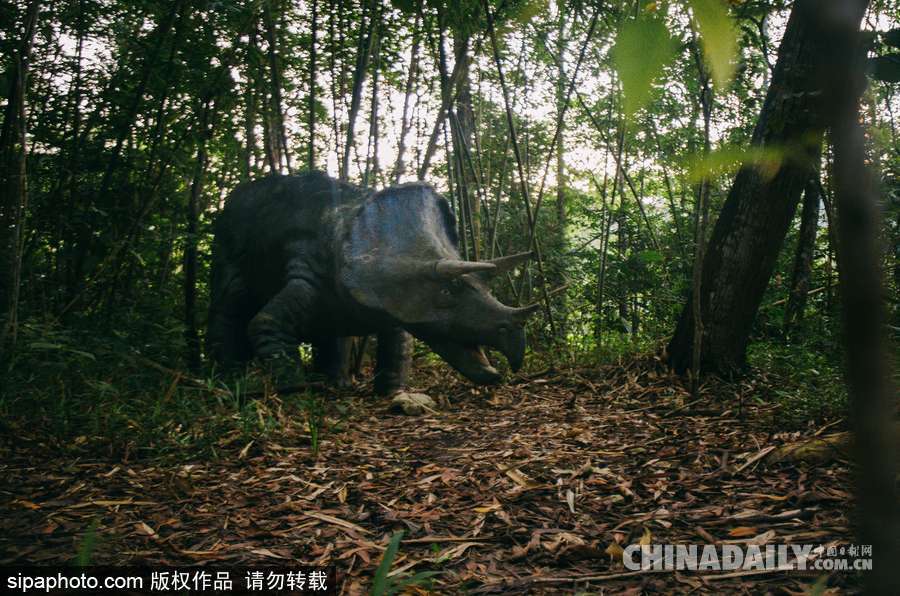 馬來西亞廢棄主題公園 似現(xiàn)實(shí)版侏羅紀(jì)公園