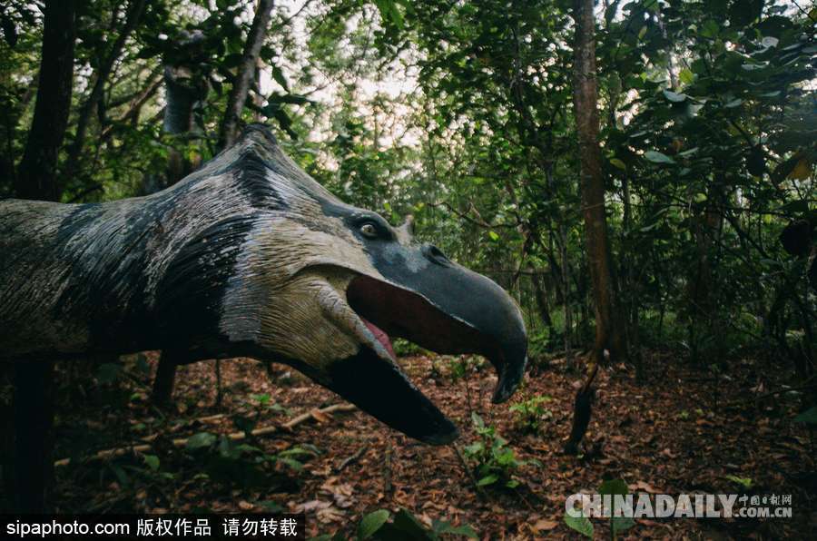 馬來西亞廢棄主題公園 似現(xiàn)實(shí)版侏羅紀(jì)公園