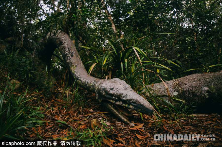 馬來(lái)西亞廢棄主題公園 似現(xiàn)實(shí)版侏羅紀(jì)公園