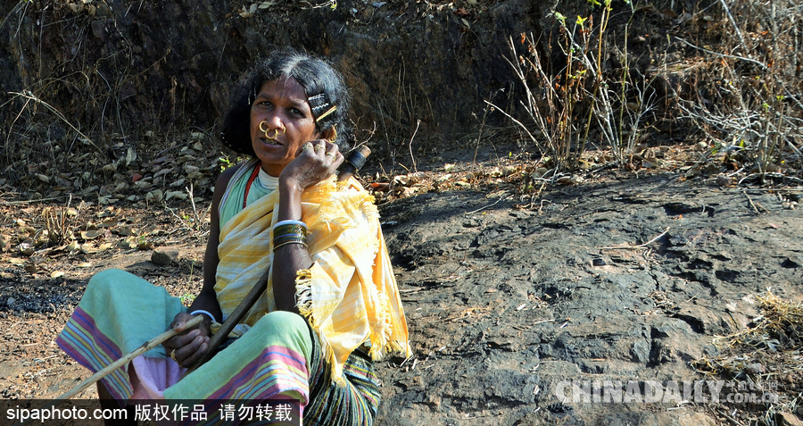 記錄印度奧里薩邦部落女性 婦女辛勤勞作