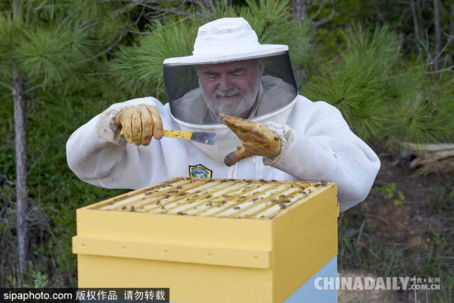 探訪(fǎng)美國(guó)弗農(nóng)養(yǎng)蜂場(chǎng) 滴滴香甜原生態(tài)