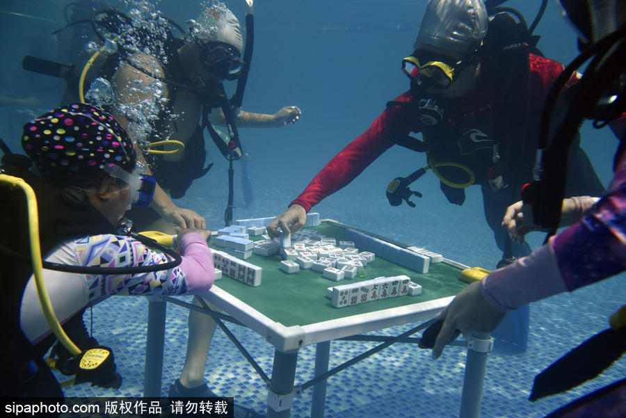 Word天！麻將或成為2022年冬奧會(huì)表演項(xiàng)目 中國(guó)國(guó)粹風(fēng)靡全球歪果仁也愛玩