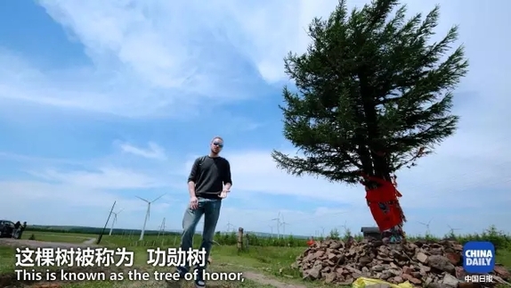 英國小哥到河北塞罕壩避暑，竟意外收獲了一個(gè)美麗的故事丨好運(yùn)中國