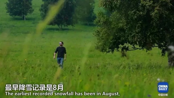 英國小哥到河北塞罕壩避暑，竟意外收獲了一個(gè)美麗的故事丨好運(yùn)中國