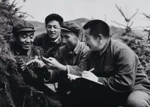 英國小哥到河北塞罕壩避暑，竟意外收獲了一個(gè)美麗的故事丨好運(yùn)中國