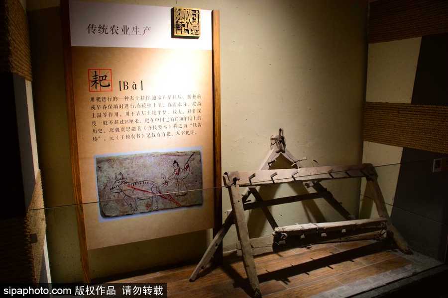 探訪鄉(xiāng)村記憶博物館 老物件喚起童年記憶滿滿感動(dòng)