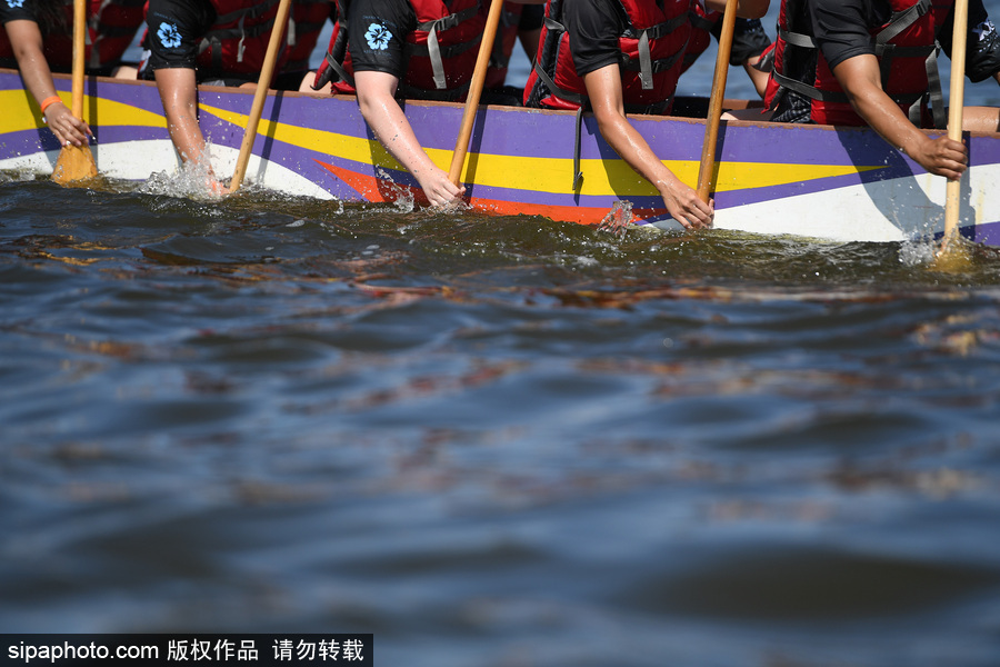 第27屆紐約香港龍舟節(jié)開幕 200支隊(duì)伍奮力角逐