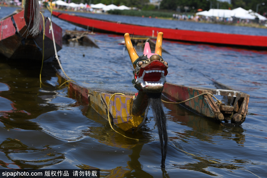 第27屆紐約香港龍舟節(jié)開(kāi)幕 200支隊(duì)伍奮力角逐