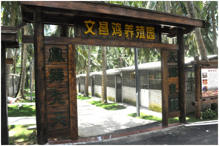 走進(jìn)文昌，講小鎮(zhèn)故事看滄桑巨變