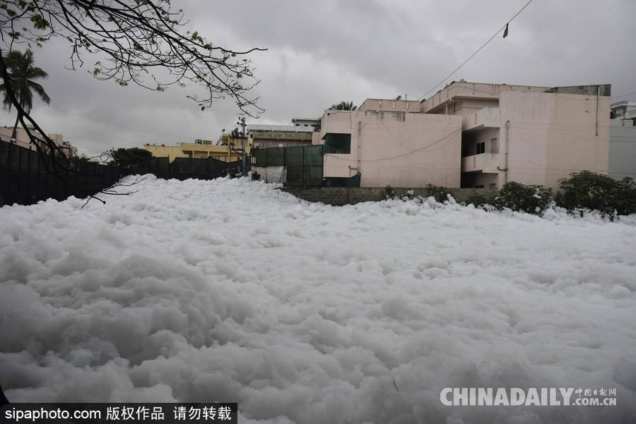 印度貝蘭杜爾湖污染嚴(yán)重 產(chǎn)生大量泡沫充斥街頭