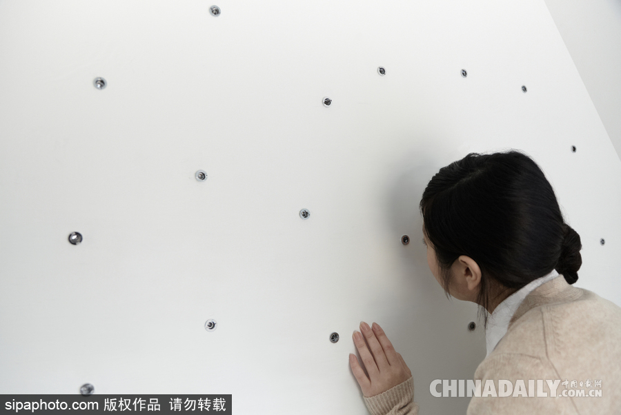 令人驚嘆！日本建筑公司筑起共享樹(shù)屋 人類可與鳥(niǎo)兒在屋內(nèi)同住