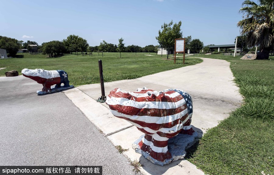 “河馬小鎮(zhèn)”美國胡托 街頭遍布河馬雕塑