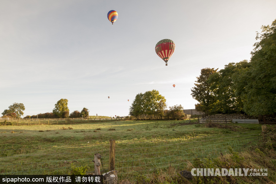 愛爾蘭舉行熱氣球錦標(biāo)賽 色彩點(diǎn)綴天空場景浪漫