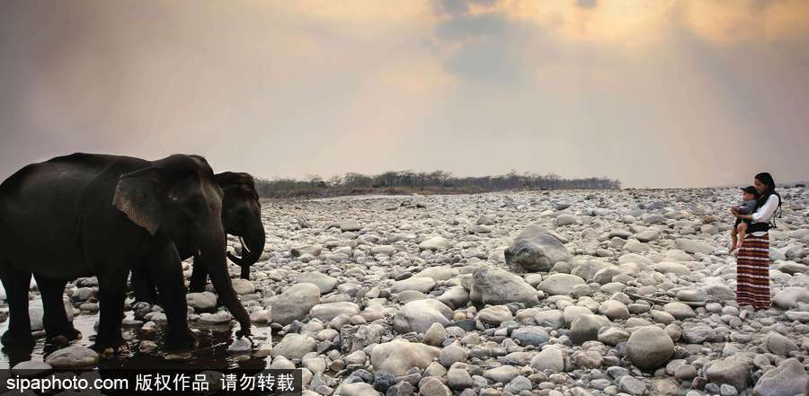 小長(zhǎng)假不再看人山人海 全球旅游這些國家和地區(qū)游客最少