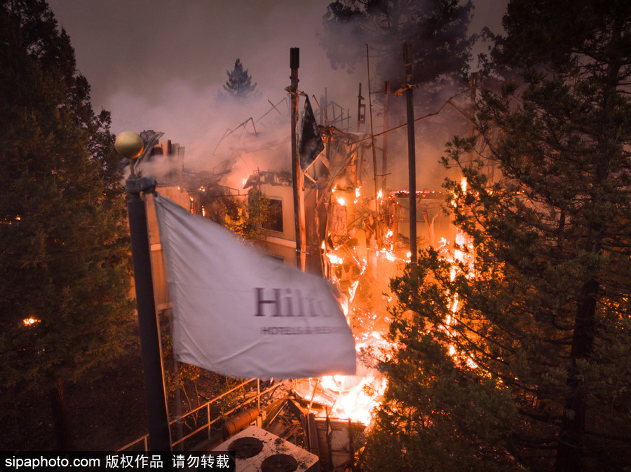 美國多地遭山火侵襲 圣羅莎希爾頓酒店“葬身火海”