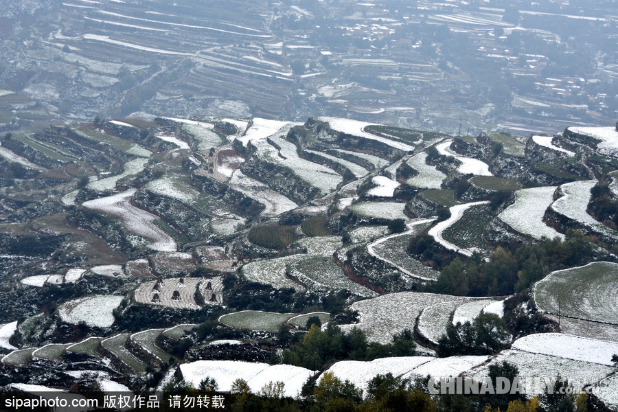 甘肅迎來(lái)雨雪天氣 雪落梯田景致宛如水墨畫