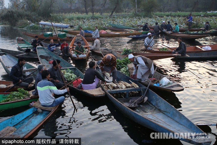 獨(dú)木舟上的生活 走近印度水上蔬菜市場