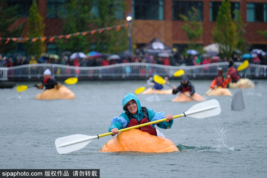 美國(guó)巨型南瓜賽舟會(huì) 選手劃小船趣味十足