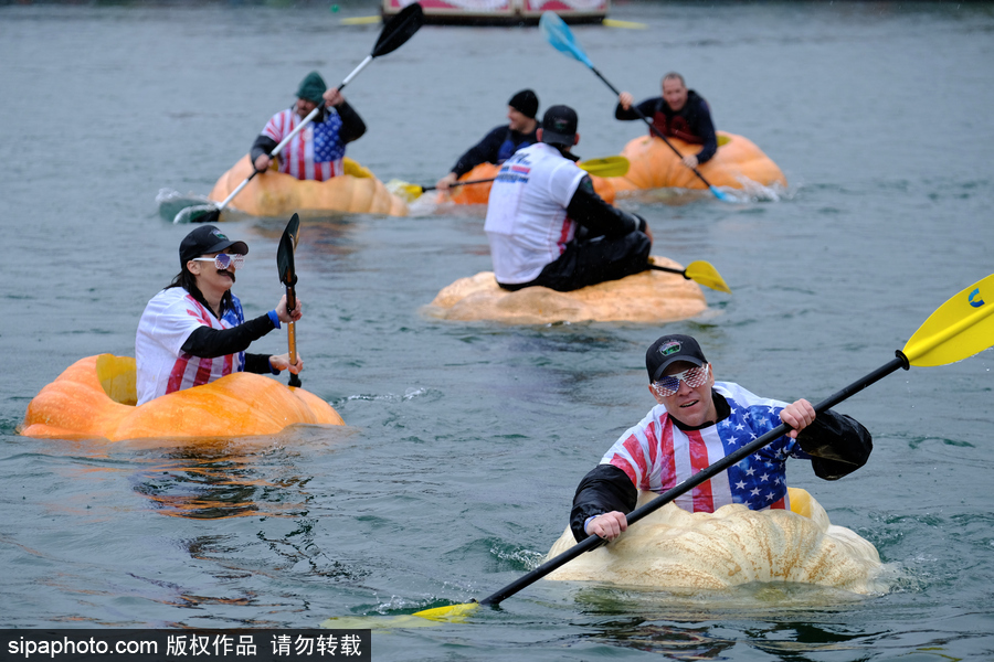 美國(guó)巨型南瓜賽舟會(huì) 選手劃小船趣味十足