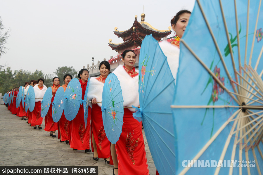 山東濱州：驚艷重陽(yáng)節(jié) 千名中老年旗袍愛(ài)好者走秀