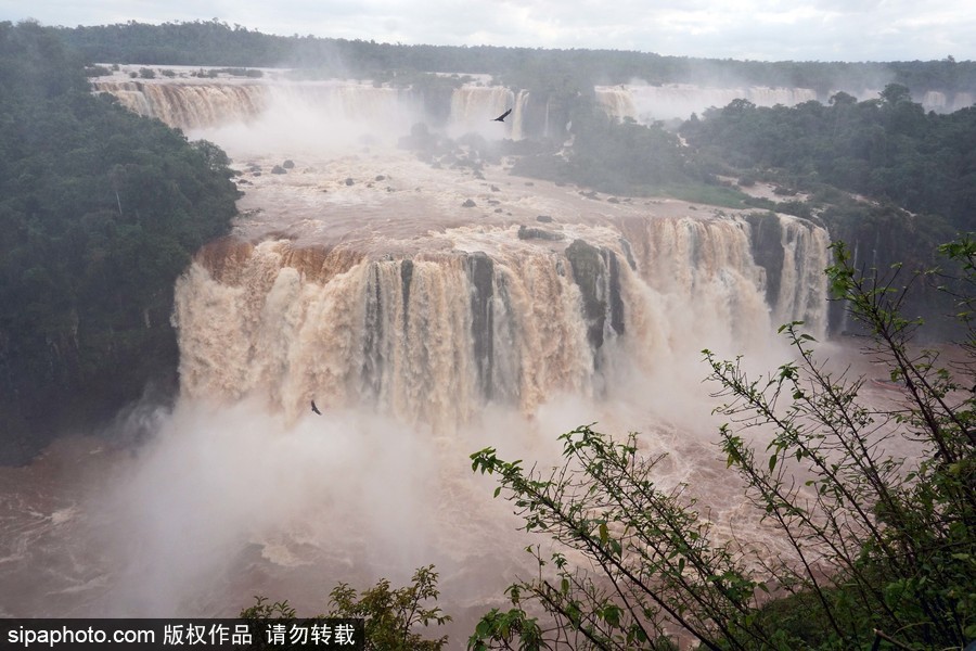 超震撼壯觀！大雨侵襲 伊瓜蘇瀑布流量達(dá)往日三倍