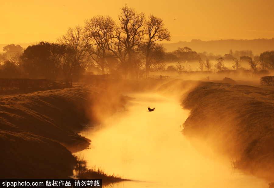 早晨一定要霧蒙蒙的才美 英國(guó)格拉斯頓堡晨霧風(fēng)光