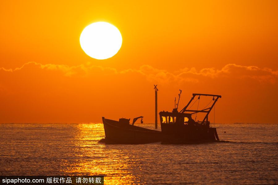 英國(guó)漢普郡海邊日出 日光柔和靜謐十足