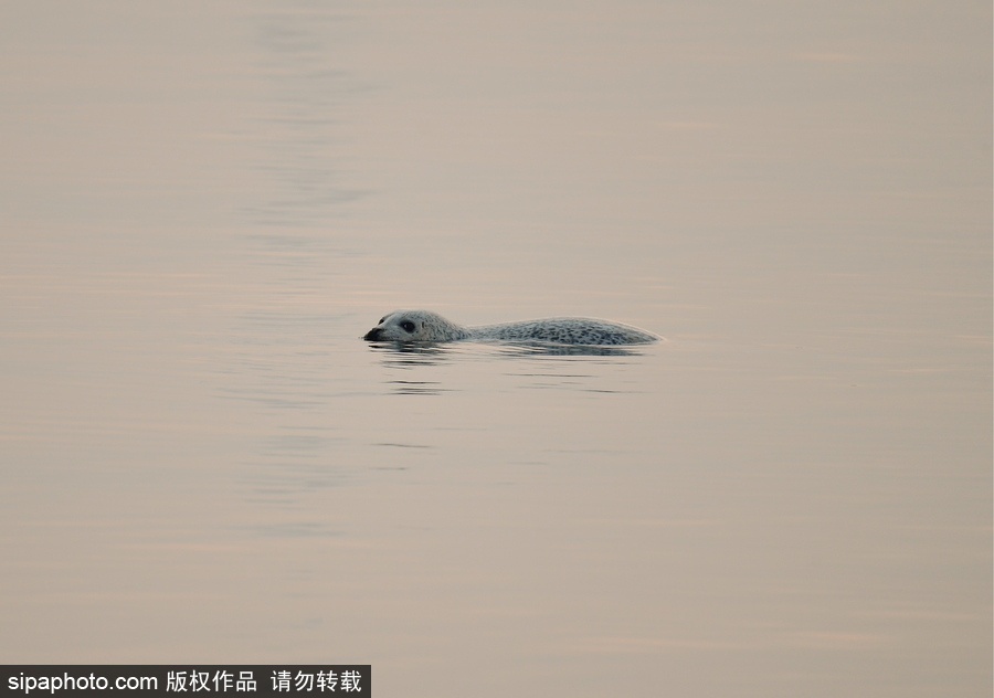 靜謐的海邊城市 俄羅斯海參崴初冬風(fēng)光