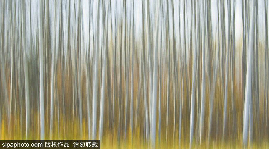 純凈的北方國(guó)度 加拿大冬日風(fēng)光