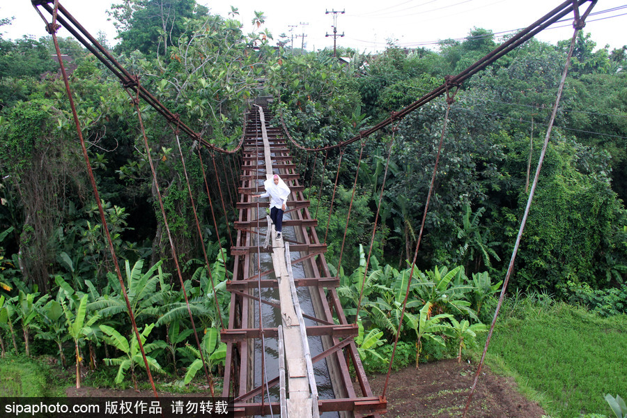 印尼學(xué)生驚險(xiǎn)上學(xué)路 超窄木板吊橋穿叢林