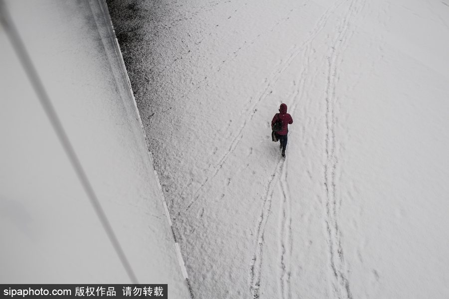 瑞典迎來今年第一場降雪 嚴(yán)重影響當(dāng)?shù)亟煌?/></p>

<p align=