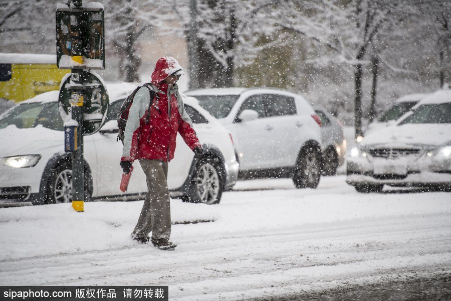 瑞典迎來今年第一場降雪 嚴(yán)重影響當(dāng)?shù)亟煌?/></p>

<p align=