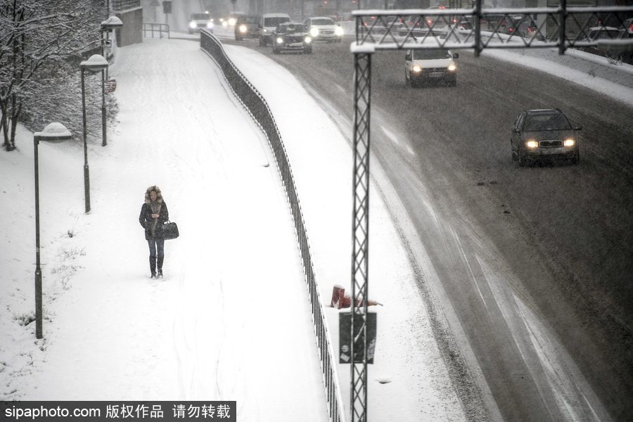 瑞典迎來今年第一場降雪 嚴重影響當?shù)亟煌?/></p>

<p align=