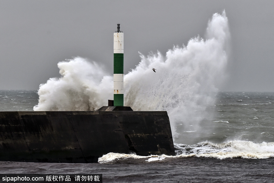 英國阿伯里斯特威斯遭大風天氣 海邊巨浪拍岸場面壯觀