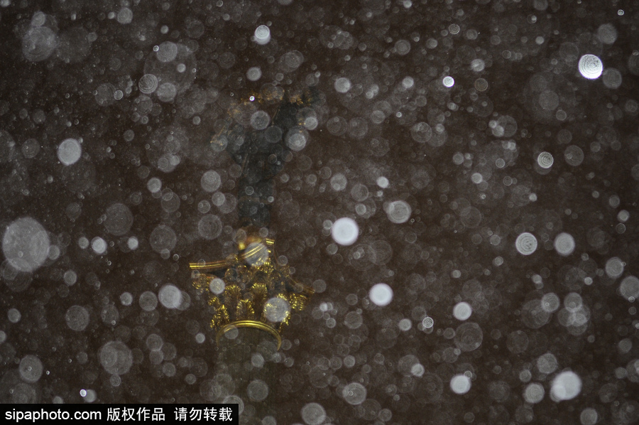 烏克蘭深冬大雪飄零 似童話(huà)世界