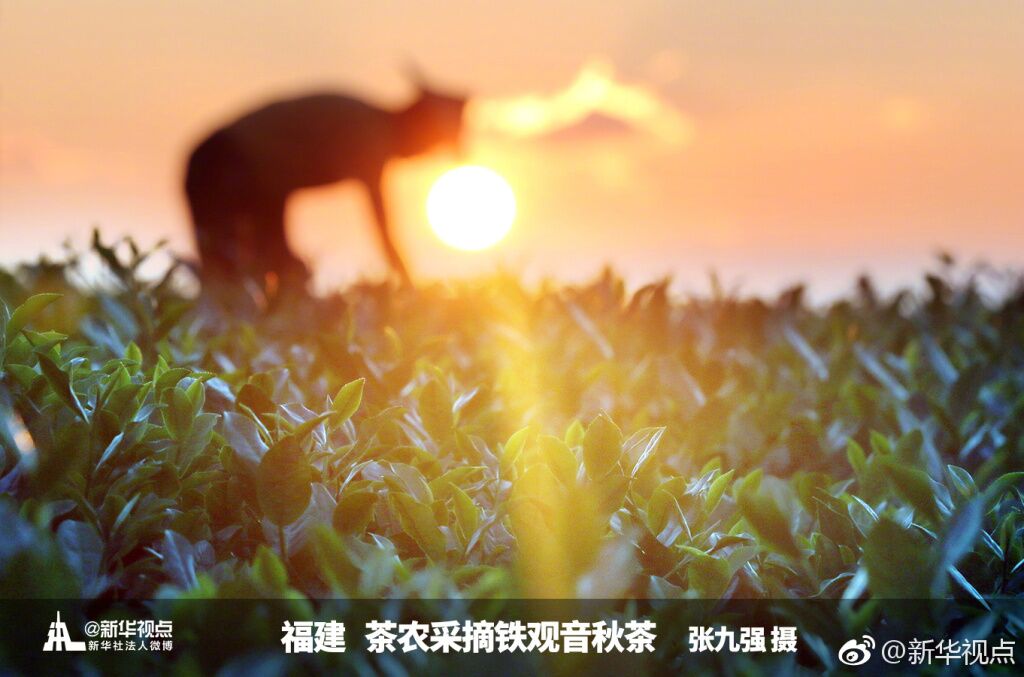 美，源自生活