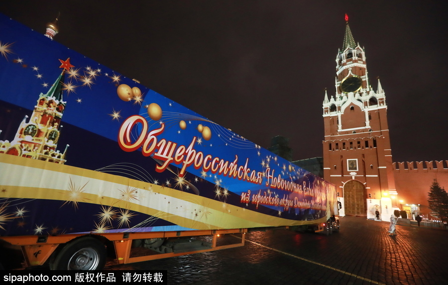迎接圣誕節(jié)！ 巨型圣誕樹搭乘卡車運抵克里姆林宮