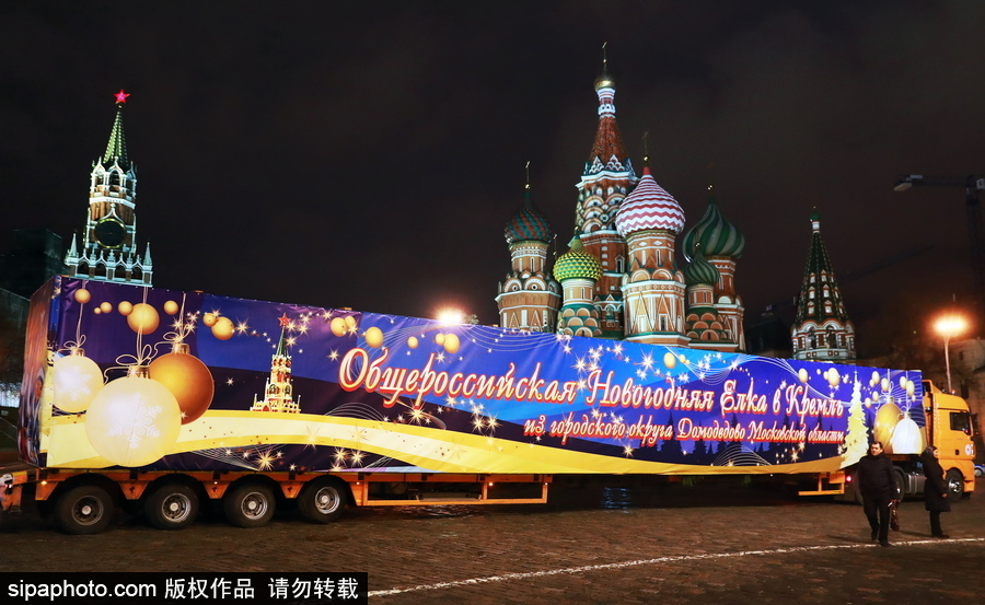 迎接圣誕節(jié)！ 巨型圣誕樹搭乘卡車運抵克里姆林宮