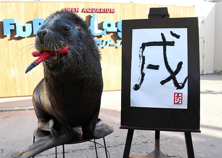 簡(jiǎn)直成精了！日本海獅嘴咬毛筆寫“戌”字迎接狗年