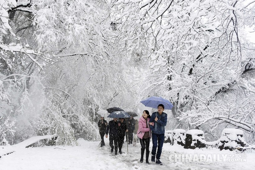 直擊我國多地迎來強(qiáng)降雪