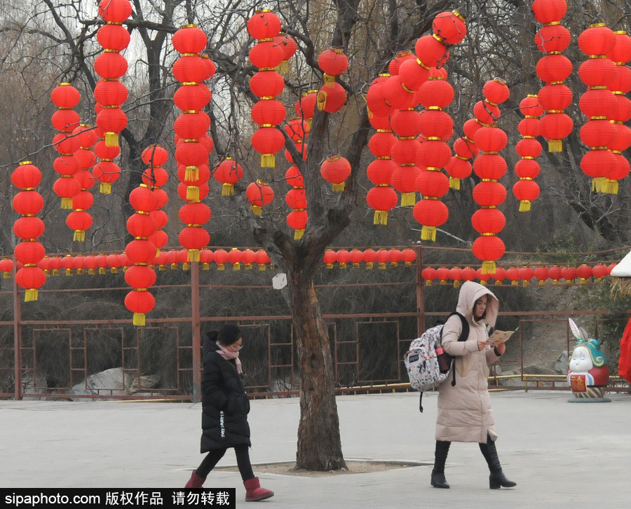 北京圓明園張燈結(jié)彩 紅火喜慶迎狗年春節(jié)