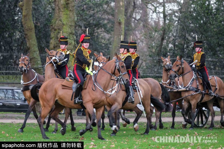 英女王登基66周年紀念 皇家騎兵炮兵團發(fā)射41響禮炮慶祝
