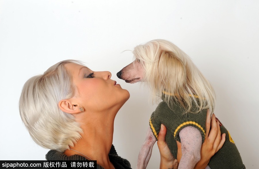 人不如狗系列！ 走進(jìn)全世界最奢華的狗狗生活