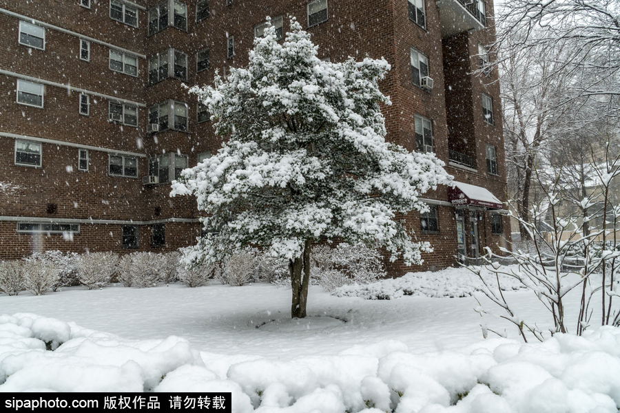 這波倒春寒來的迅猛！美國紐約遭遇暴雪天氣