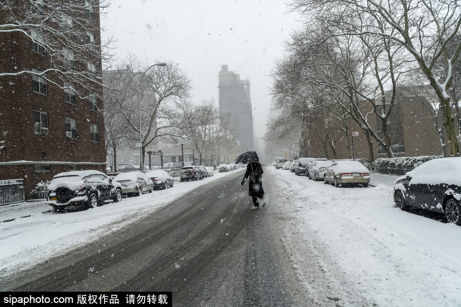 這波倒春寒來的迅猛！美國紐約遭遇暴雪天氣