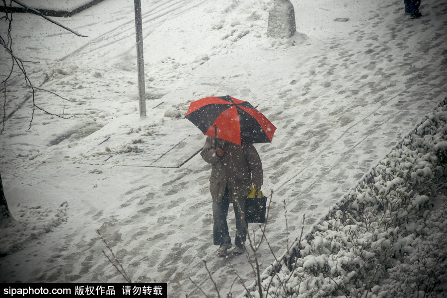 這波倒春寒來的迅猛！美國紐約遭遇暴雪天氣