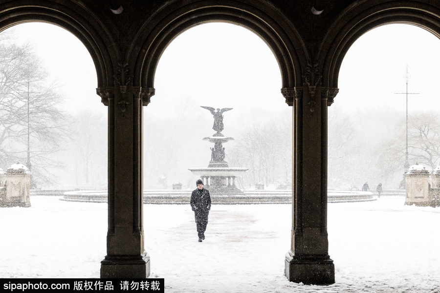 這波倒春寒來(lái)的迅猛！美國(guó)紐約遭遇暴雪天氣
