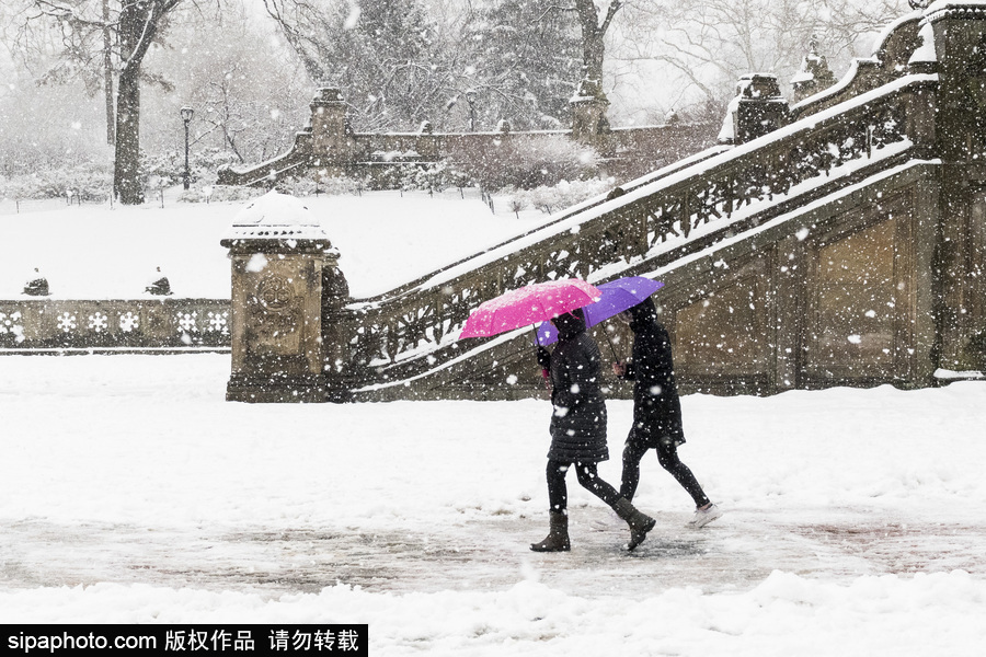 這波倒春寒來的迅猛！美國紐約遭遇暴雪天氣