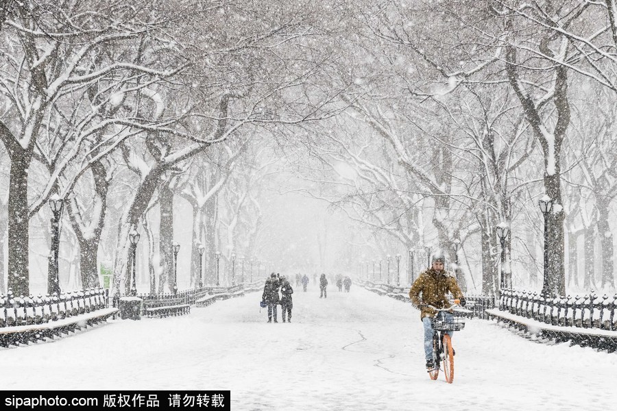 這波倒春寒來的迅猛！美國紐約遭遇暴雪天氣