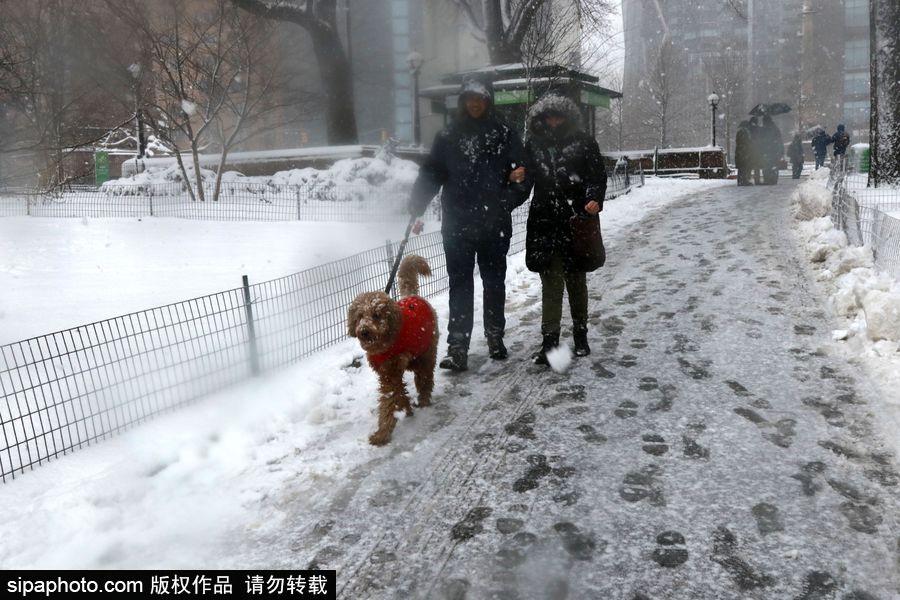這波倒春寒來(lái)的迅猛！美國(guó)紐約遭遇暴雪天氣